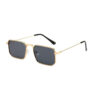 Metal Accent Fashion Sunglasses for Men & Women, Trendy European & American Style