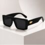 Small Frame Sunglasses for Men & Women, Stylish Unisex Fashion Eyewear